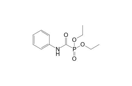 1-Diethoxyphosphoryl-N-phenyl-formamide