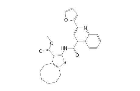 methyl 2-({[2-(2-furyl)-4-quinolinyl]carbonyl}amino)-4,5,6,7,8,9-hexahydrocycloocta[b]thiophene-3-carboxylate