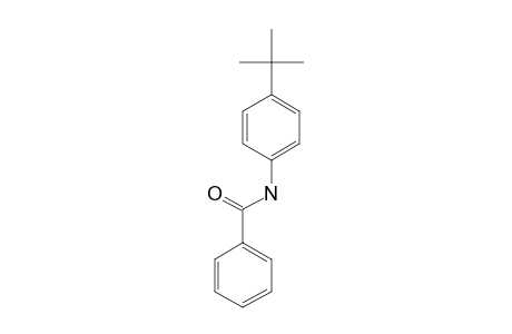 4'-tert-BUTYLBENZANILIDE