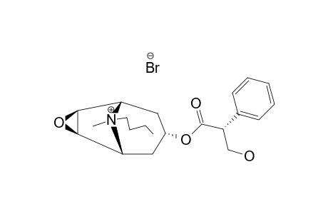 SCOPOLAMINE-AX-BU(N)BR