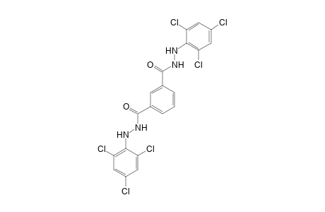 1,3-Benzenedicarboxamide, N,N'-di(2,4,6-trichlorophenylamino)-