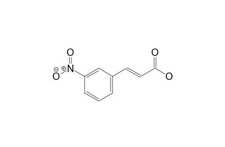 trans-m-Nitrocinnamic acid