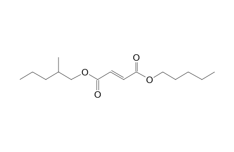 Fumaric acid, 2-methylpentyl pentyl ester