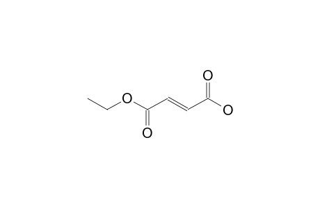 Monoethyl fumarate