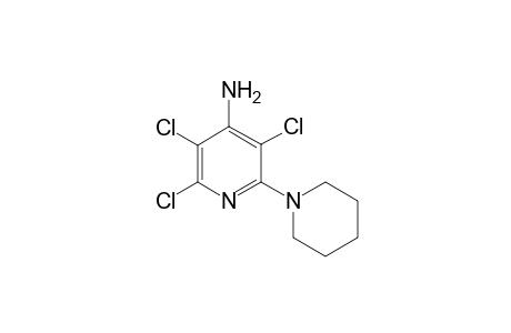 3',5',6'-Trichloro-3,4,5,6-tetrahydro-2H-[1,2']bipyridin-4'-ylamine