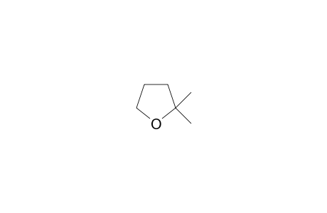 2,2-Dimethyltetrahydrofuran
