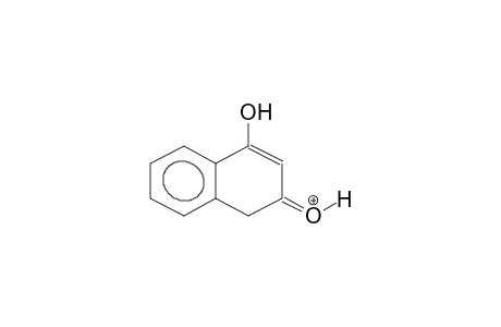 2,4-DIHYDROXYNAPHTHALENONIUM-1 CATION