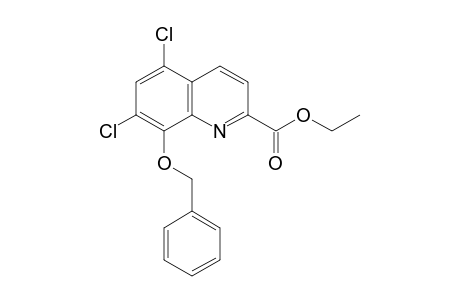 8-(Benzyloxy)-5,7-dichloroquinaldic acid, ethyl ester