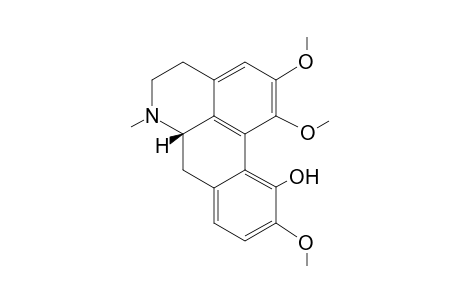 ICD;ISOCORYDINE