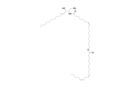 Cer 14:1;2O/16:1;O(FA 17:2)
