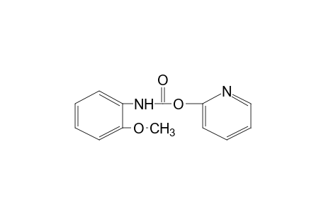 o-methoxycarbanilic acid, 2-pyridyl ester