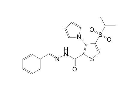 4-(isopropylsulfonyl)-3-(pyrrol-1-yl)-2-thiophenecarboxylic acid, benzylidenehydrazide