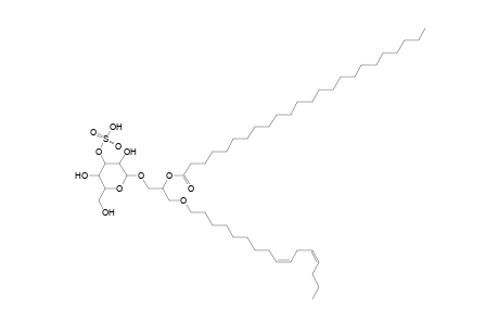 SMGDG O-16:2_24:0