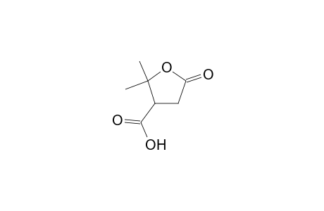 2,2-Dimethyl-5-oxotetrahydro-3-furoic acid