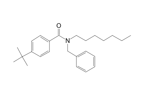 Benzamide, 4-(tert-butyl)-N-benzyl-N-heptyl-