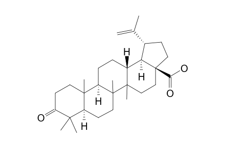 Betulonic acid