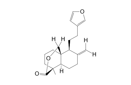 15,16-epoxy-17-hydroxylabda-8(20), 13(16), 14-trien-19-oic acid, delta-lactone