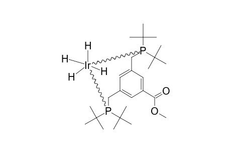 [METHYL-3,5-BIS-(DI-TERT.-BUTYLPHOSPHINOMETHYL)-BENZOATE]-IRH(4);[CH(3)OC(O)-PCP]-IRH(4)