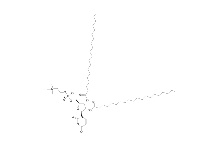 1,2-ARACHIDOYL-URIDINO-PHOSPHOCHOLINE