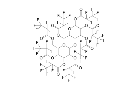 Lactose 8PFP