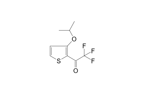 2,2,2-trifluoro-1-(3-propan-2-yloxythiophen-2-yl)ethanone