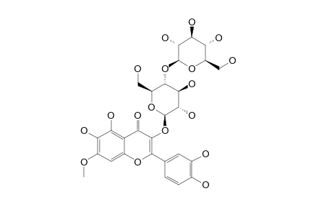 QUERCETAGETIN-7-METHYLETHER-3-O-CELLOBIOSIDE