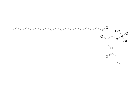 PA 4:0_19:0