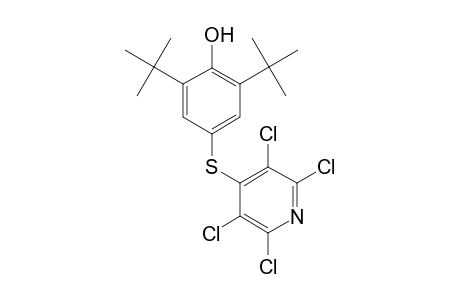 2,6-Ditert-butyl-4-[(2,3,5,6-tetrachloro-4-pyridinyl)thio]phenol