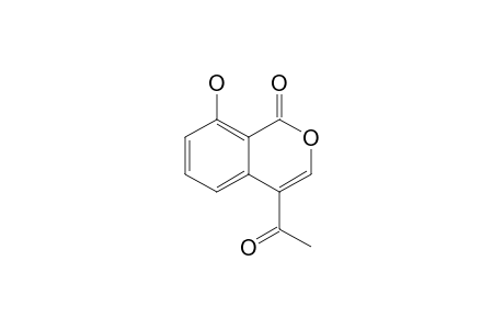 8-Hydroxy-4-acetyl-1H-[2]-benzopyran-1-one