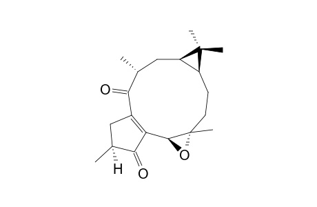 ISOJATROGROSSIDION