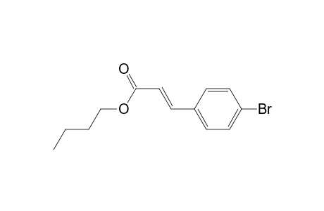 Butyl (E)-4-bromocinnamate