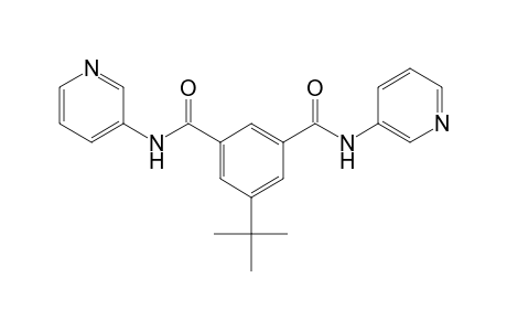5-tert-butyl-N,N'-di-3-pyridylisophthalamide