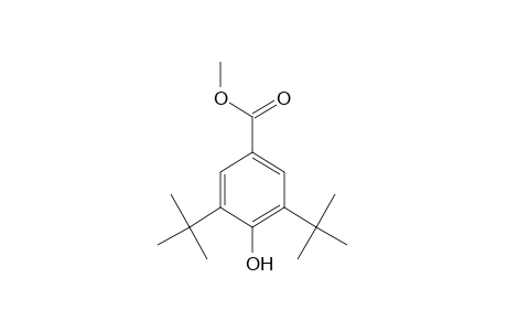 3,5-Di-tert-butyl-4-hydroxy-benzoic acid, methyl ester