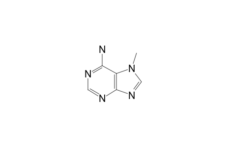 7-METHYLADENINE