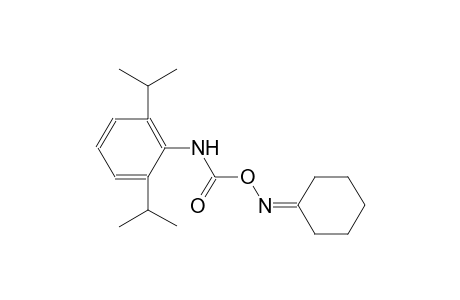 cyclohexanone, O-[(2,6-diisopropylphenyl)carbamoyl]oxime