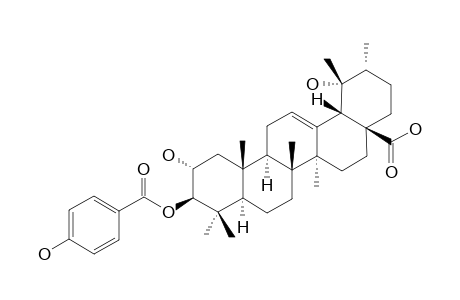 3-BETA-PARA-HYDROXYBENZOYLOXY-TORMENTIC-ACID;3-BETA-(PARA-HYDROXYBENZOYLOXY)-2-ALPHA-HYDROXY-URS-12-EN-28-OIC-ACID