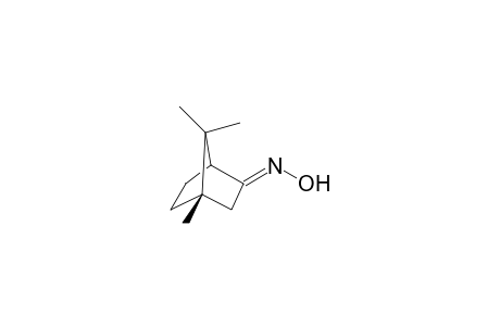 3-Bornanone, oxime