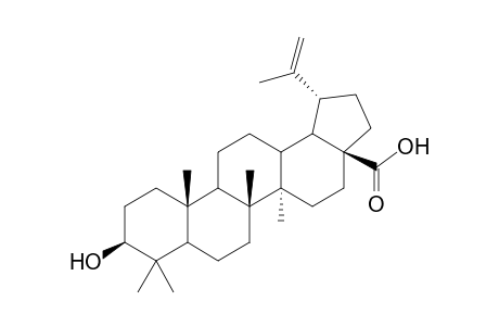 Betulinic acid