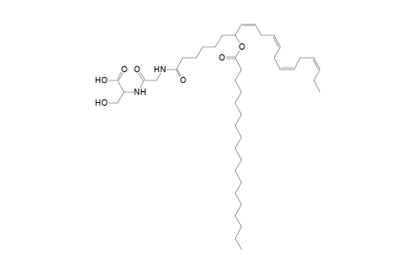 NAGlySer 18:0/20:4