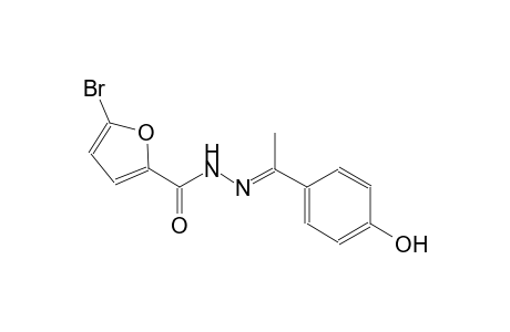 5-bromo-N'-[(E)-1-(4-hydroxyphenyl)ethylidene]-2-furohydrazide