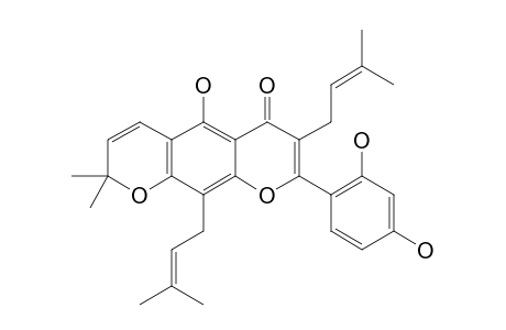 ARTOHETEROPHYLLIN-D