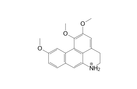 Glaucine MS3_2