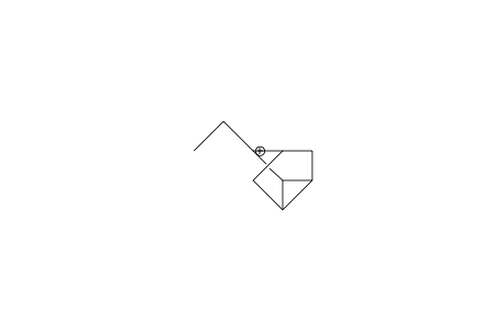 3-Ethyl-3-nortricyclyl cation