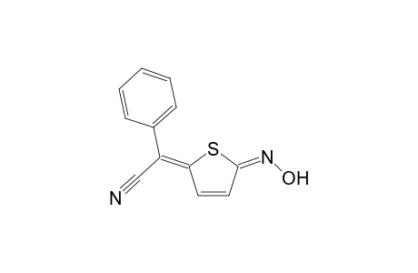 5-(Cyanophenyl)methylene)-2-thiophenone - Oxime