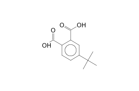 1,2-Benzenedicarboxylic acid, 4-(1,1-dimethylethyl)-