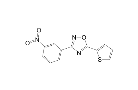 3-(3-Nitrophenyl)-5-(2-thienyl)-1,2,4-oxadiazole