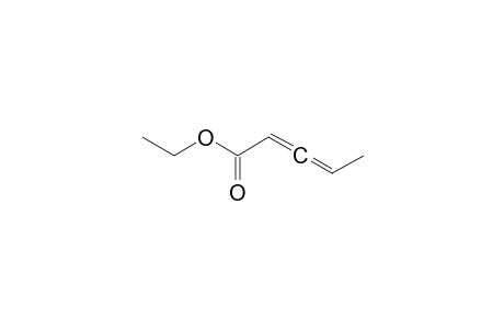 2,3-Pentadienoic acid, ethyl ester