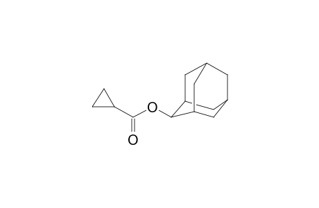 Cyclopropanecarboxylic acid, 2-adamantyl ester