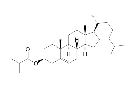 Isobutyric acid, cholesteryl ester