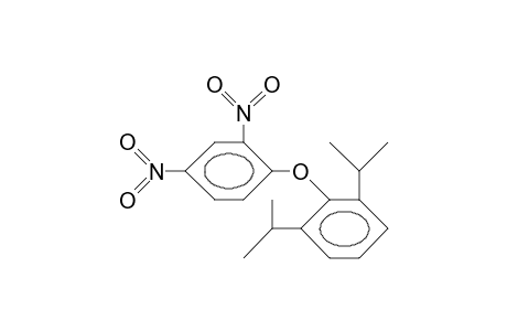 2,6-Diisopropyl-2',4'-dinitrodiphenyl-ether